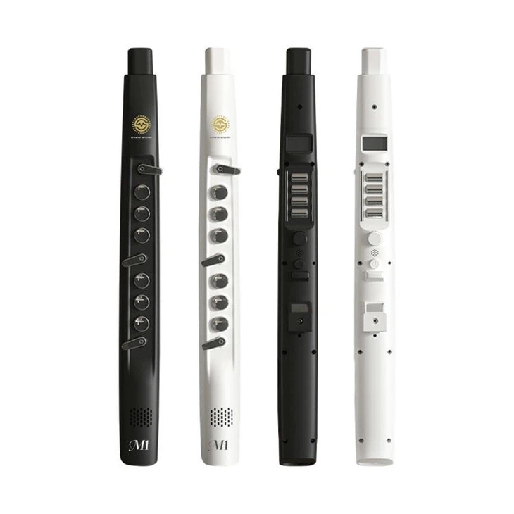 M1 Evi Elektwonik Valv Enstriman