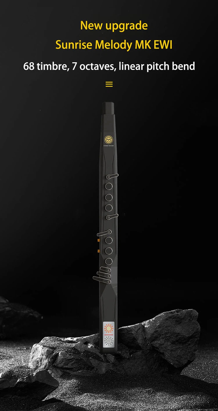 electronic wind instrument